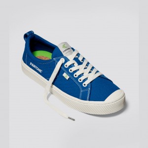 Cariuma Low Top Canvas OCA LOW Dame Blå | 170EWFIAJ