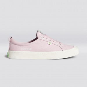 Cariuma Low Top Canvas OCA LOW Dame Pale Lilac | 813ZWKPRC