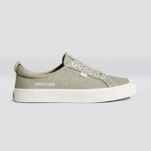 Cariuma Low Top Canvas OCA LOW Dame Plaza Taupe | 192OXCWSV