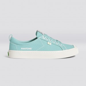 Cariuma Low Top Canvas OCA LOW Herre Blå | 635ZDVPWT