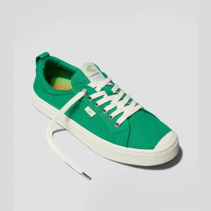 Cariuma Low Top Canvas Veganske OCA LOW Herre Grøn | 309ALJGBO