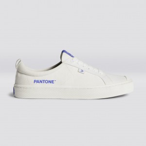 Cariuma Low Top Canvas Veganske OCA LOW Dame Off-White / Very Peri Canvas | 014XNFQHC