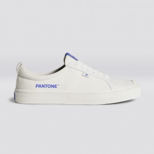 Cariuma Low Top Canvas Veganske OCA LOW Herre Off-White / Very Peri Canvas | 827IWYQFZ