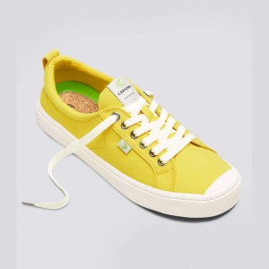 Cariuma Low Top Canvas Veganske OCA LOW Herre Gul | 426JBNQRP