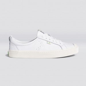 Cariuma Low Top Premium Leather OCA LOW Herre Hvide | 528HLYQPT