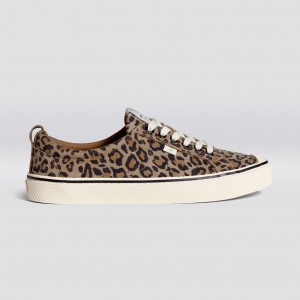 Cariuma Low Top Suede OCA LOW Herre Leopard | 738LQPFZI