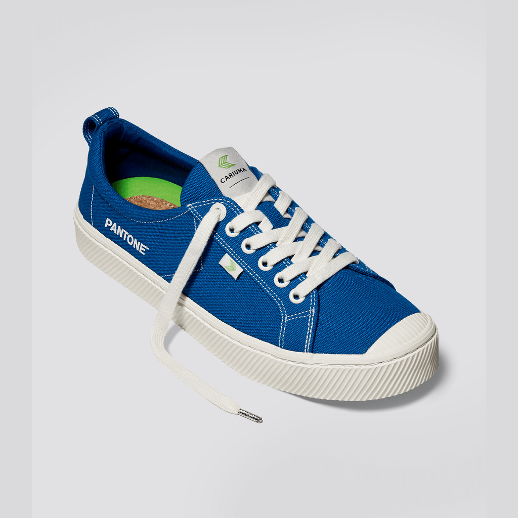 Cariuma Low Top Canvas OCA LOW Dame Blå | 170EWFIAJ