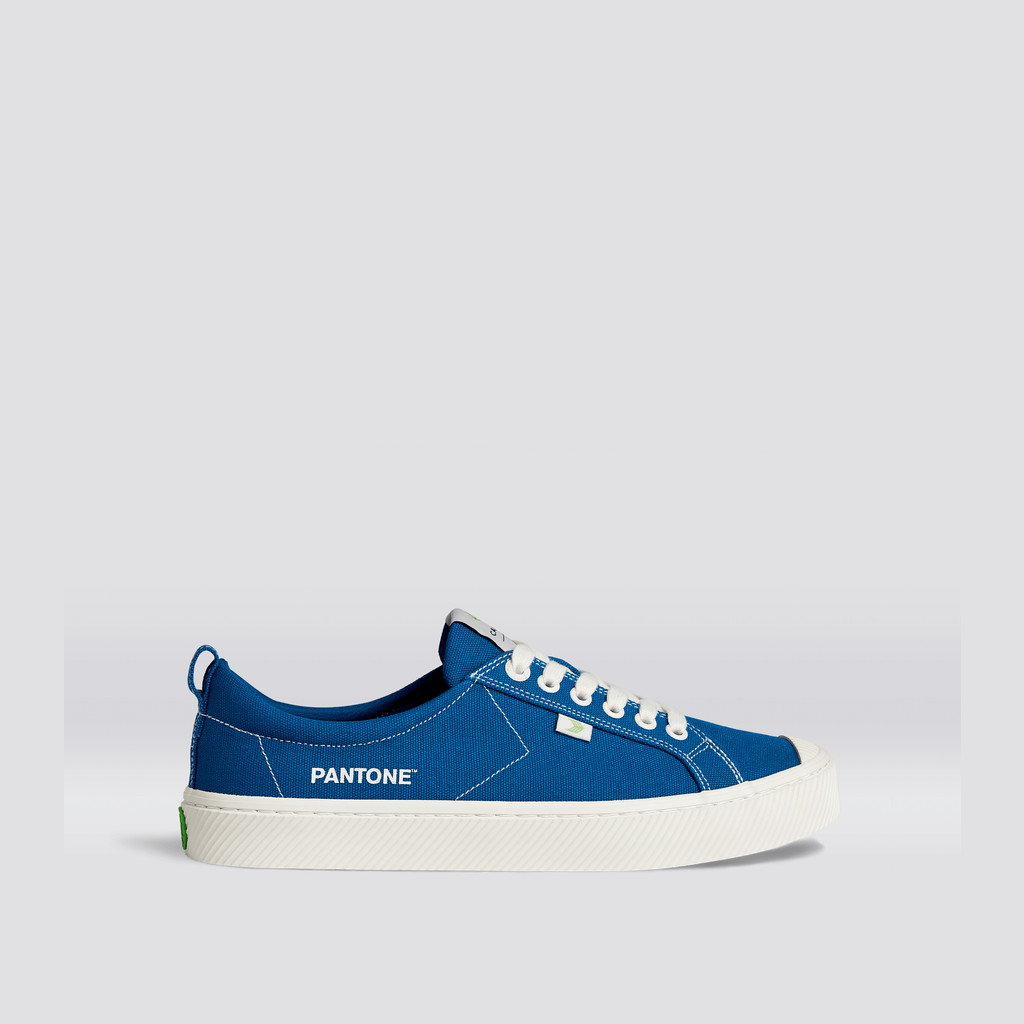 Cariuma Low Top Canvas OCA LOW Dame Blå | 170EWFIAJ