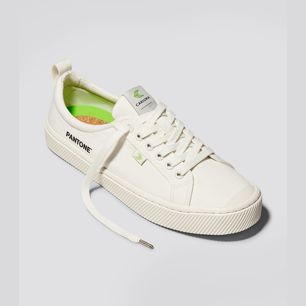 Cariuma Low Top Canvas OCA LOW Herre Hvide | 083TOLXNW