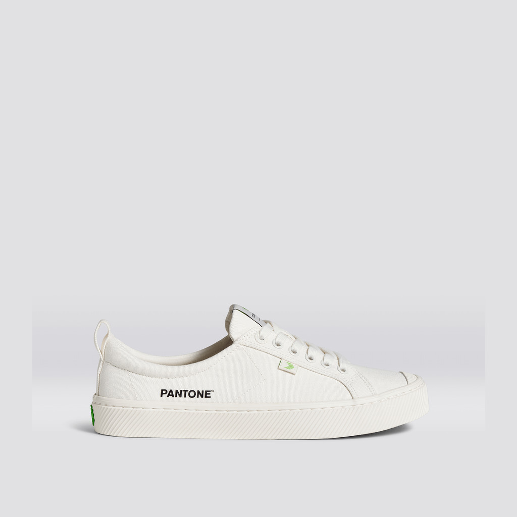 Cariuma Low Top Canvas OCA LOW Herre Hvide | 083TOLXNW