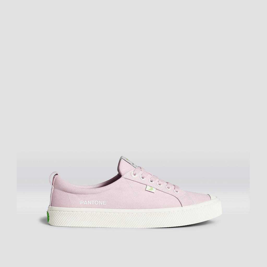 Cariuma Low Top Canvas OCA LOW Herre Pale Lilac | 694PQVBXJ