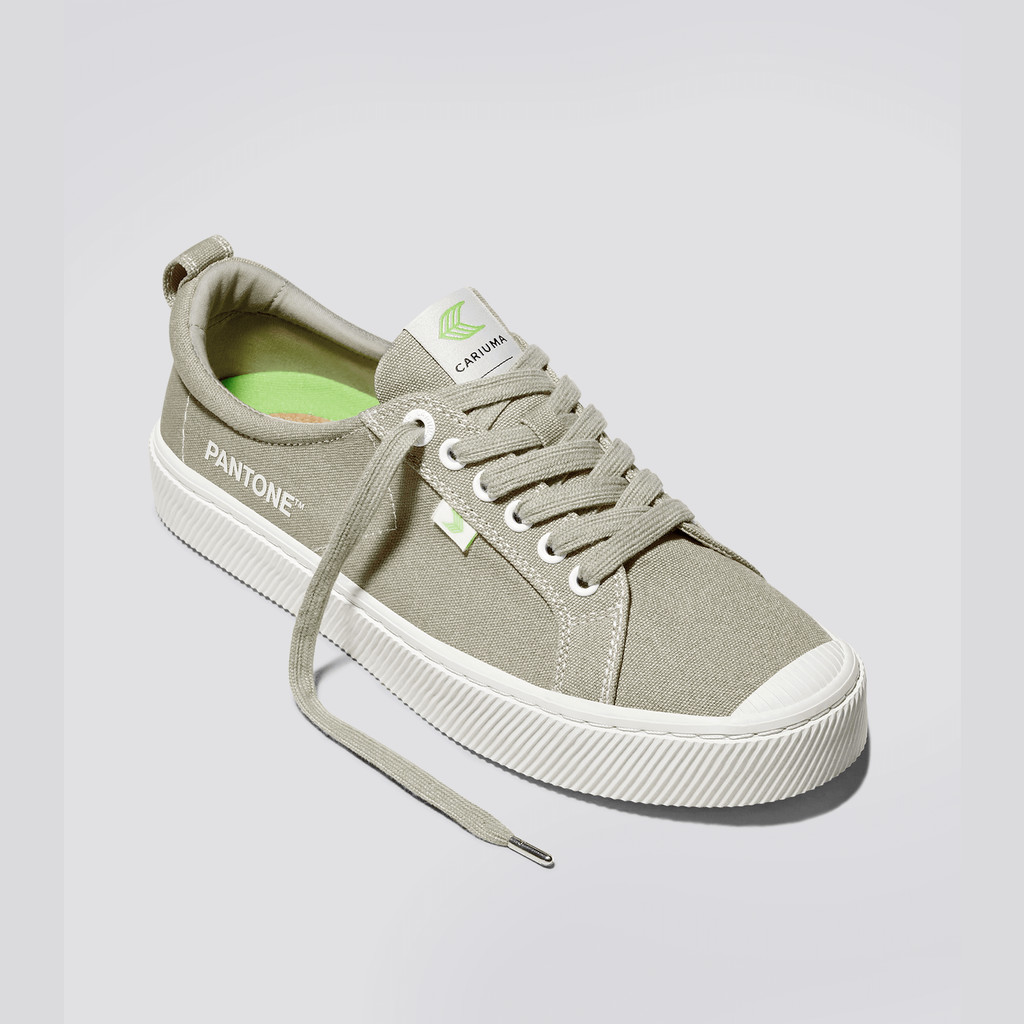 Cariuma Low Top Canvas OCA LOW Herre Plaza Taupe | 483DGFOHA