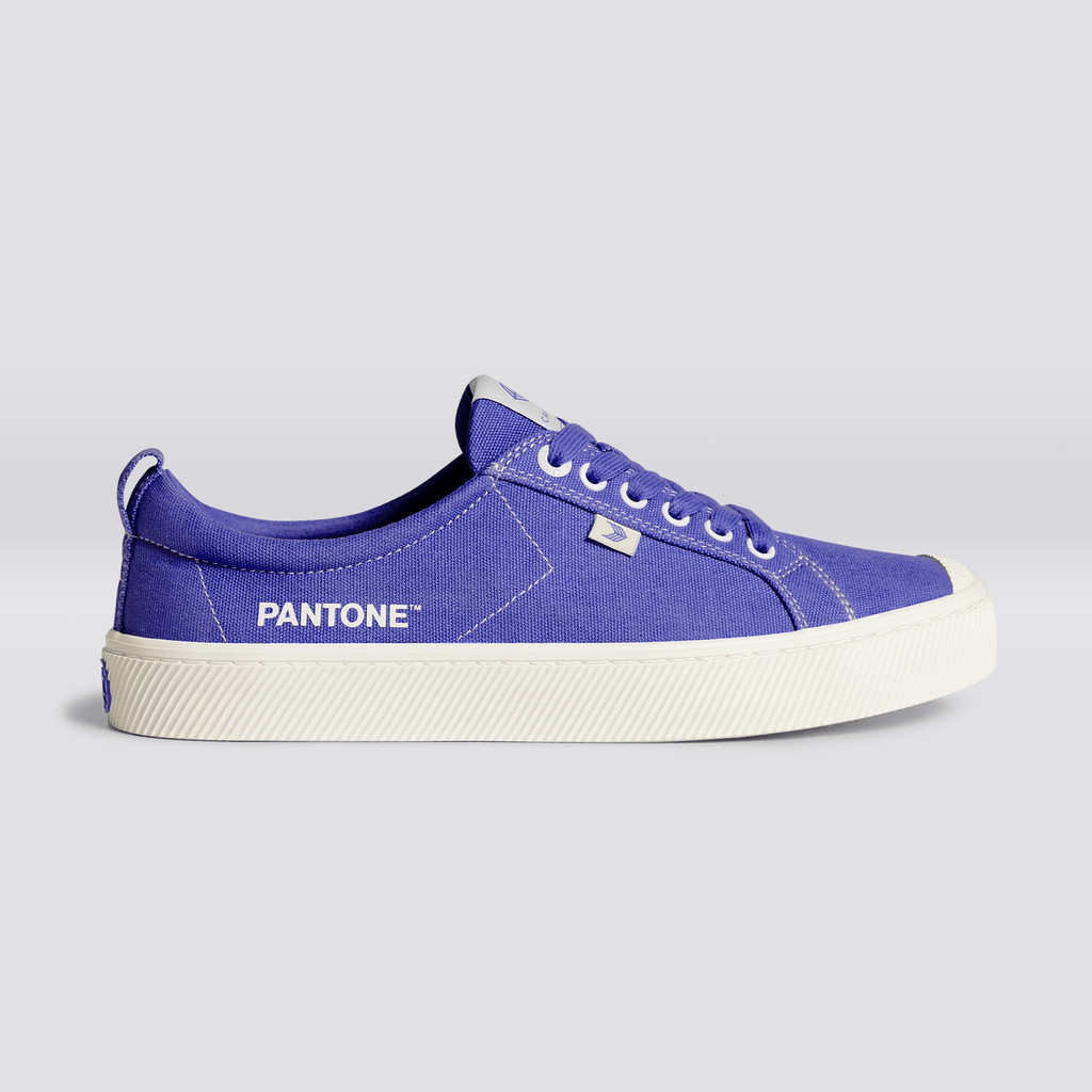 Cariuma Low Top Canvas Veganske OCA LOW Herre Very Peri / Off-White Canvas | 245KPJXDA