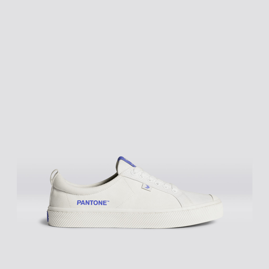 Cariuma Low Top Canvas Veganske OCA LOW Dame Off-White / Very Peri Canvas | 014XNFQHC