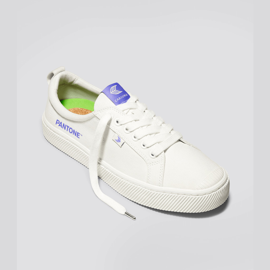 Cariuma Low Top Canvas Veganske OCA LOW Herre Off-White / Very Peri Canvas | 827IWYQFZ