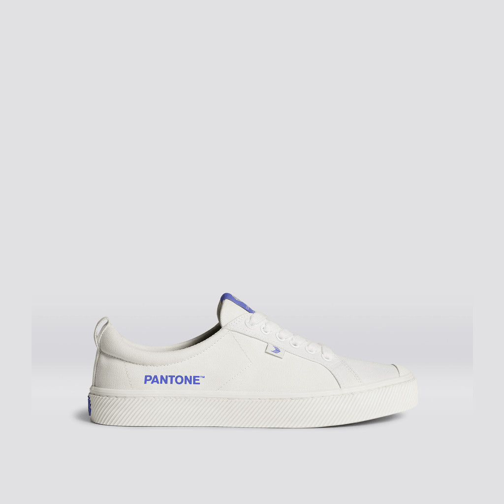 Cariuma Low Top Canvas Veganske OCA LOW Herre Off-White / Very Peri Canvas | 827IWYQFZ